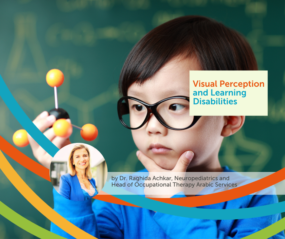 Visual Perception and Learning Disabilities 3