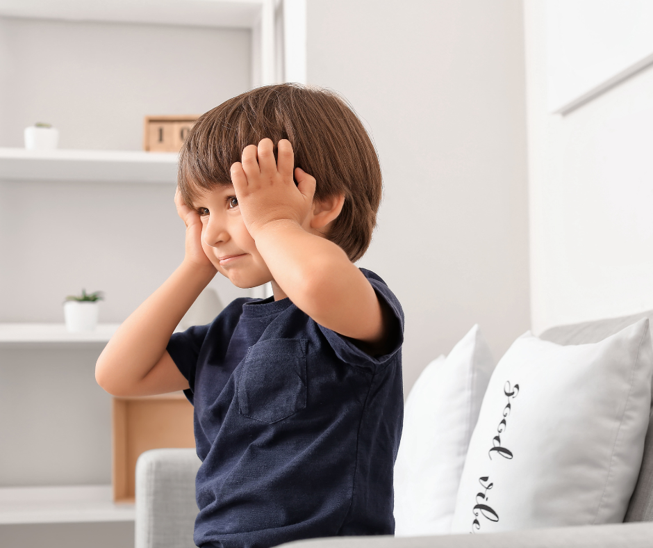 Understanding Emotional Dysregulation through a Sensory Lens 30