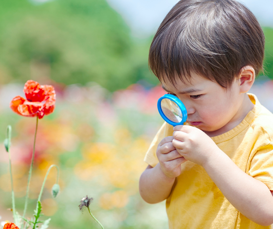 Seeing is Understanding: The Power of Visual Supports at Home and School 5
